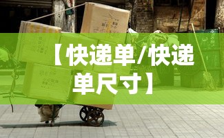 【快递单/快递单尺寸】 【快递单/快递单尺寸】