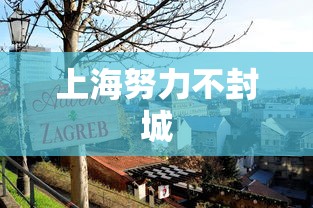 上海努力不封城