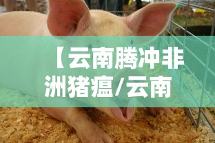 昆明呈贡疫情/昆明呈贡新冠肺炎 昆明呈贡疫情/昆明呈贡新冠肺炎
