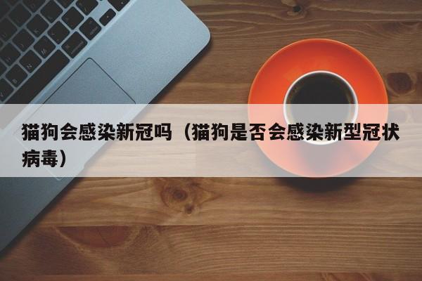 猫狗会感染新冠吗(猫狗是否会感染新型冠状病毒)