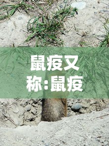 鼠疫又称:鼠疫又称单选 鼠疫又称:鼠疫又称单选