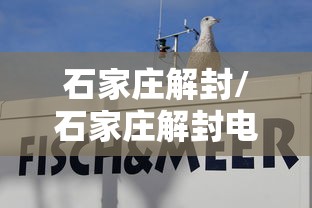 重庆疫情最新消息今天又封了:重庆疫情最新消息通知疫