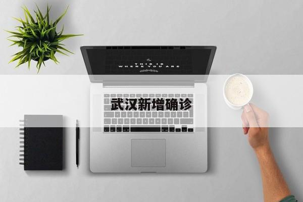 武汉新增确诊