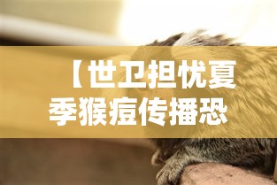 【世卫担忧夏季猴痘传播恐加快/猴痘病毒致死率有多高】