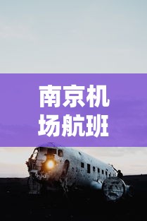 南京机场航班查询:南京机场实时航班动态 南京机场航班查询:南京机场实时航班动态